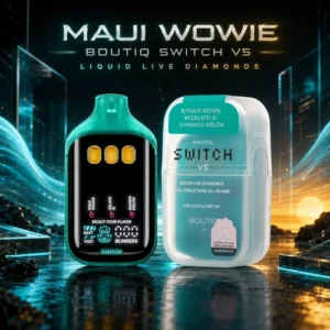 Boutiq Switch V5 - Triple Flavor 10-Pack