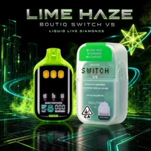Boutiq Switch V5 - Triple Flavor 10-Pack